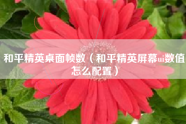 和平精英桌面帧数（和平精英屏幕ui数值怎么配置）