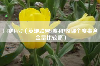 lol赛程s7（英雄联盟S赛和MSI哪个赛事含金量比较高）