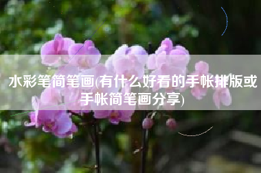 水彩笔简笔画(有什么好看的手帐排版或手帐简笔画分享)