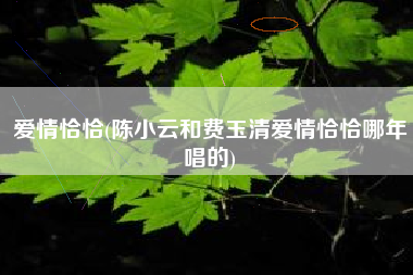 爱情恰恰(陈小云和费玉清爱情恰恰哪年唱的)