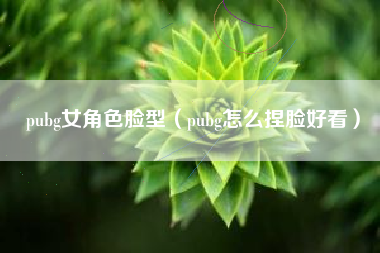 pubg女角色脸型（pubg怎么捏脸好看）