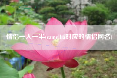 情侣一人一半(camellia对应的情侣网名)