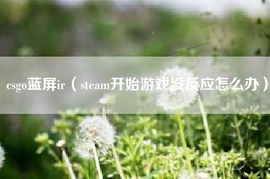 csgo蓝屏ir（steam开始游戏没反应怎么办）