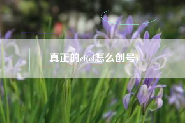 真正的cf(cf怎么创号)