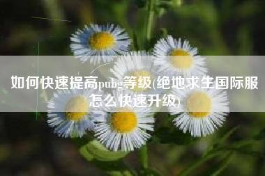 如何快速提高pubg等级(绝地求生国际服怎么快速升级)