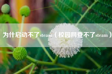 为什启动不了steam（校园网登不了steam）