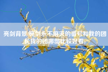 亮剑背景(亮剑永不磨灭的番号和我的团长我的团哪部比较好看)