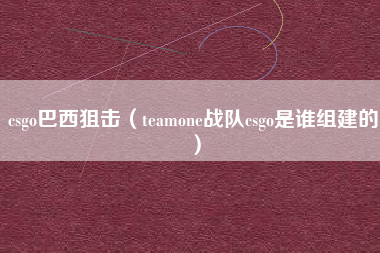 csgo巴西狙击（teamone战队csgo是谁组建的）