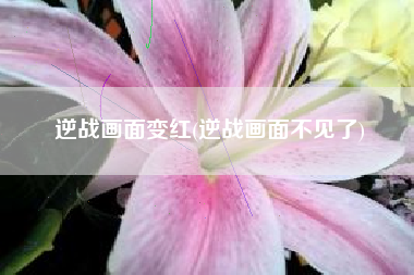 逆战画面变红(逆战画面不见了)