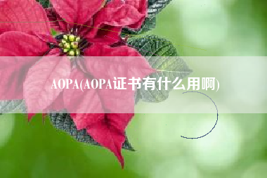 AOPA(AOPA证书有什么用啊)