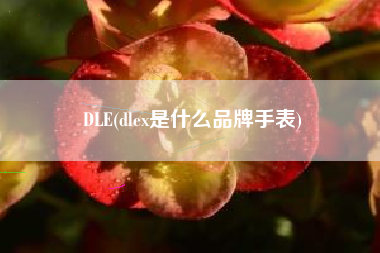 DLE(dlex是什么品牌手表)