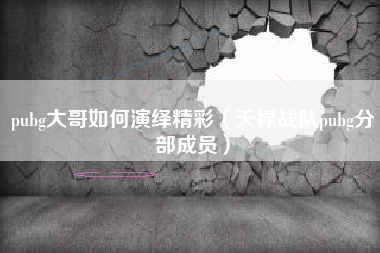 pubg大哥如何演绎精彩（天禄战队pubg分部成员）