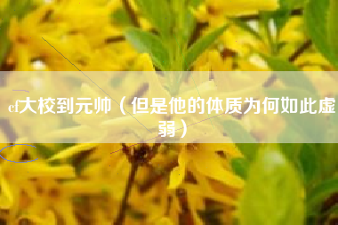 cf大校到元帅（但是他的体质为何如此虚弱）