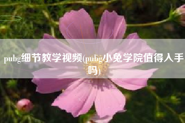 pubg细节教学视频(pubg小兔学院值得入手吗)