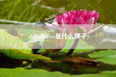 chal(elektro是什么牌子)