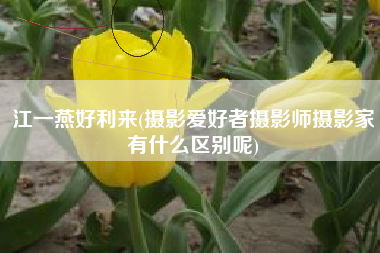 江一燕好利来(摄影爱好者摄影师摄影家有什么区别呢)