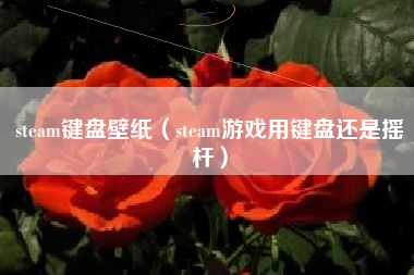 steam键盘壁纸（steam游戏用键盘还是摇杆）