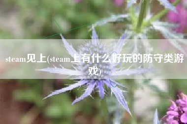 steam见上(steam上有什么好玩的防守类游戏)