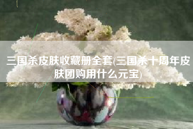 三国杀皮肤收藏册全套(三国杀十周年皮肤团购用什么元宝)