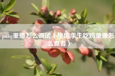 pubg重播怎么调试（绝地求生吃鸡录像怎么查看）