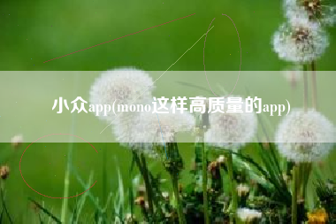 小众app(mono这样高质量的app)