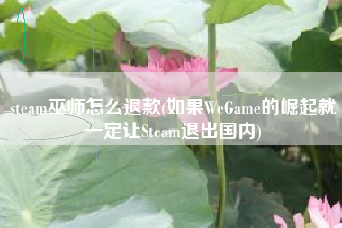 steam巫师怎么退款(如果WeGame的崛起就一定让Steam退出国内)