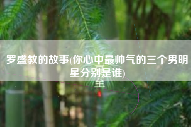 罗盛教的故事(你心中最帅气的三个男明星分别是谁)