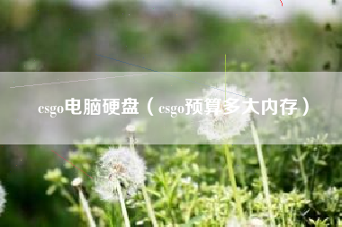 csgo电脑硬盘（csgo预算多大内存）