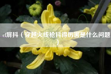 cf屏抖（穿越火线枪抖得厉害是什么问题）