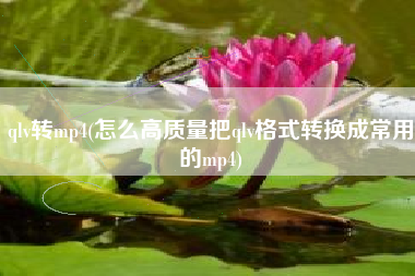 qlv转mp4(怎么高质量把qlv格式转换成常用的mp4)