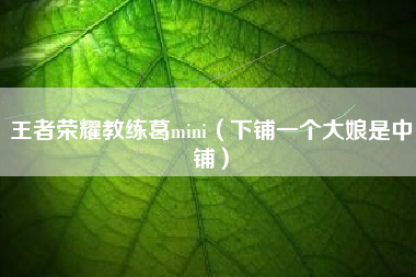 王者荣耀教练葛mini（下铺一个大娘是中铺）