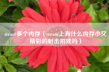 steam多个内存（steam上有什么内存小又精彩的射击游戏吗）