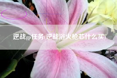 逆战gp任务(逆战浴火枪芯什么买)