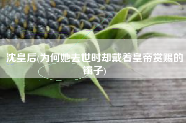 沈皇后(为何她去世时却戴着皇帝赏赐的镯子)