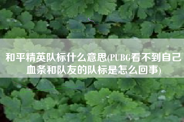 和平精英队标什么意思(PUBG看不到自己血条和队友的队标是怎么回事)