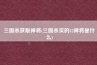 三国杀获取神将(三国杀买的12神将是什么)