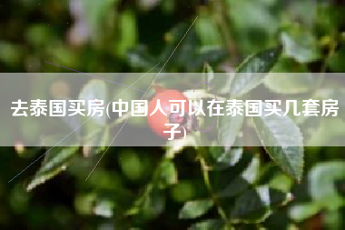 去泰国买房(中国人可以在泰国买几套房子)