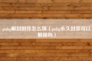 pubg解封附件怎么填（pubg永久封禁可以解除吗）