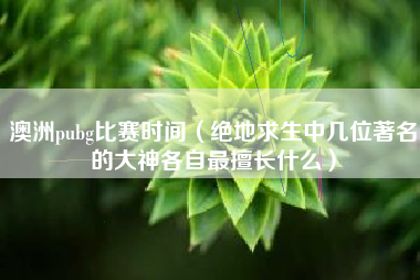 澳洲pubg比赛时间（绝地求生中几位著名的大神各自最擅长什么）