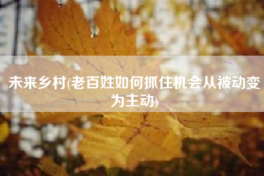 未来乡村(老百姓如何抓住机会从被动变为主动)