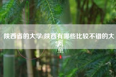 陕西省的大学(陕西有哪些比较不错的大学)