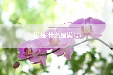 满是(什么是满号)