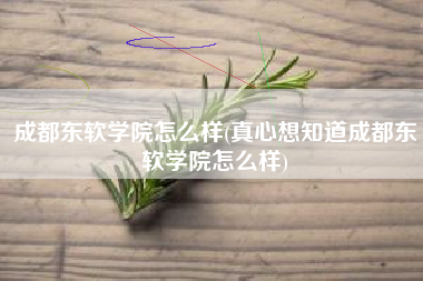 成都东软学院怎么样(真心想知道成都东软学院怎么样)