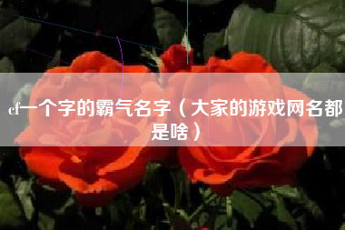 cf一个字的霸气名字（大家的游戏网名都是啥）