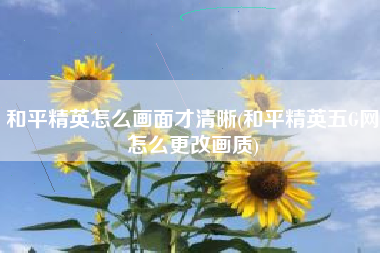 和平精英怎么画面才清晰(和平精英五G网怎么更改画质)