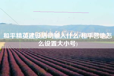 和平精英建设活动输入什么(和平营地怎么设置大小号)