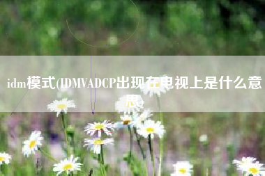 idm模式(IDMVADCP出现在电视上是什么意思)