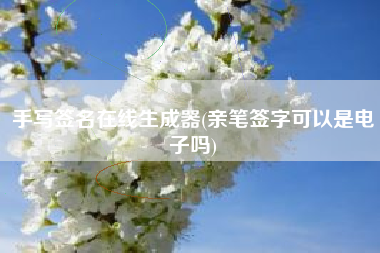 手写签名在线生成器(亲笔签字可以是电子吗)