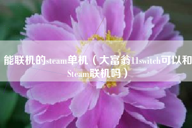 能联机的steam单机（大富翁11switch可以和Steam联机吗）