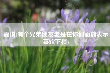 夏琪(有个兄弟朋友老是在你们面前表示喜欢下棋)